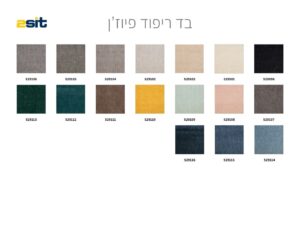 פיוז'ן