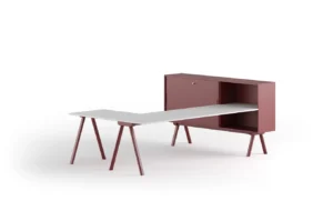 עמדת עבודה עם שלוחה WORKSTATION 2027